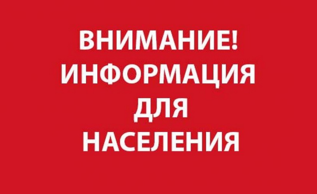 Порядок действия при встрече с животным без владельца.
