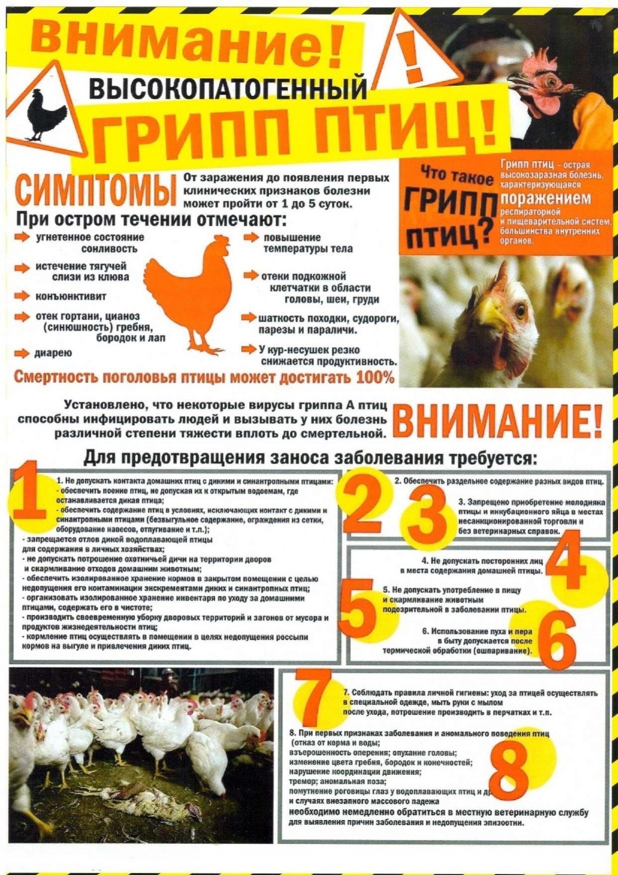 КГКУ &quot;Назаровский отдел ветеринарии&quot; информирует об ухудшении эпизоотической ситуации по высокопатогенному ГРИППУ ПТИЦ..