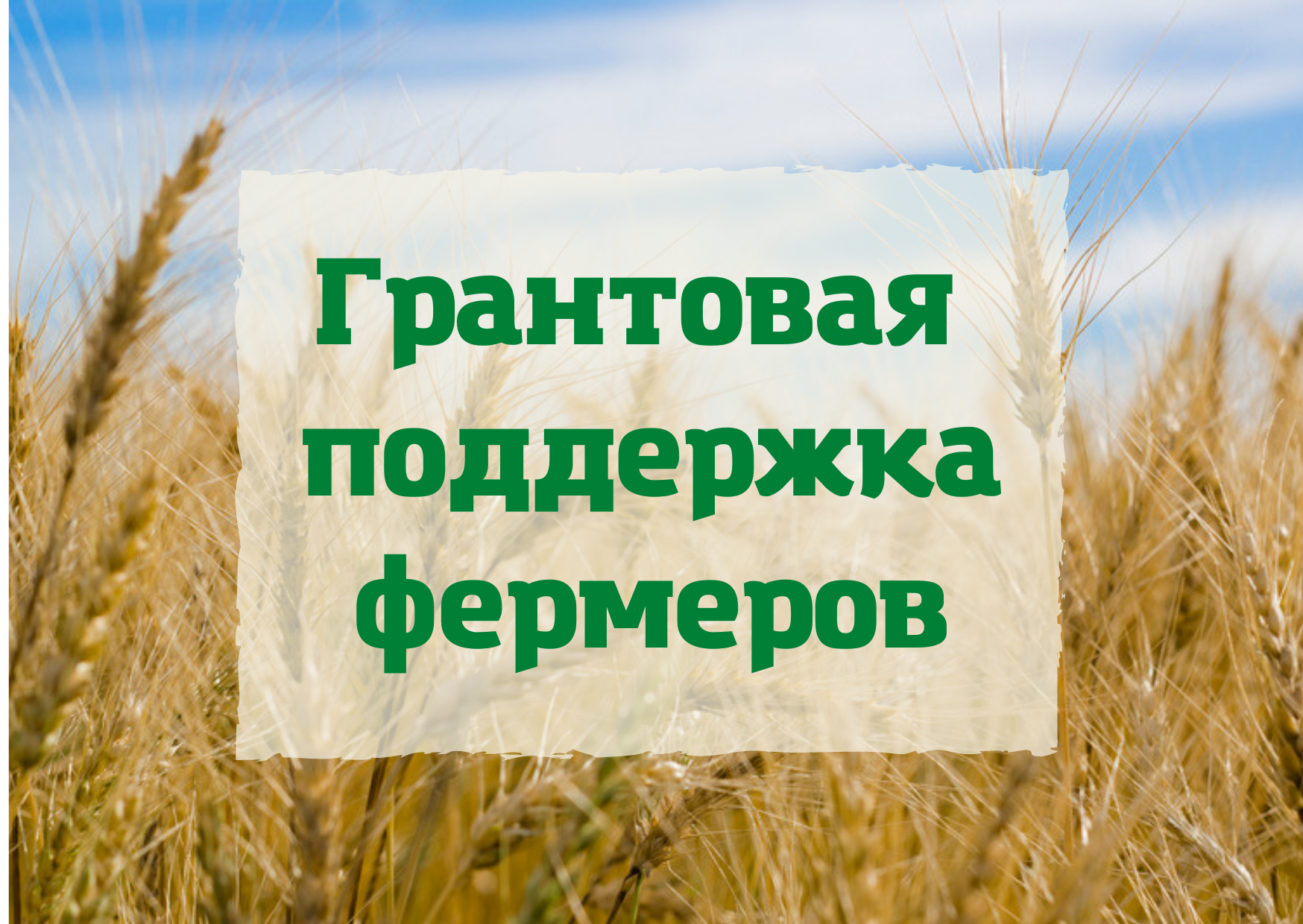 Министерство сельского хозяйства Красноярского края сообщает.