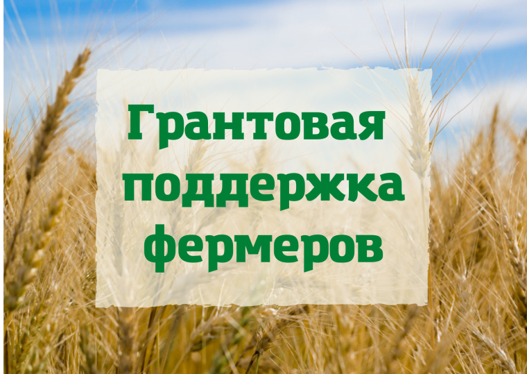 Министерство сельского хозяйства Красноярского края сообщает. Министерство сельского хозяйства Красноярского края сообщает.